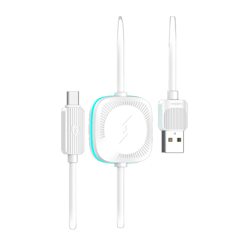 Earldom ET-WC39 2-in-1 cable with Apple Watch charger, USB-A to USB-C version
