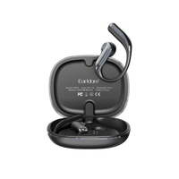 TWS Earbuds