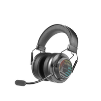 Headphones & Earphones