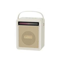 Earldom 15W Bluetooth Speaker – 105mm Driver, RGB Lighting, Bluetooth 5.4 – Champagne